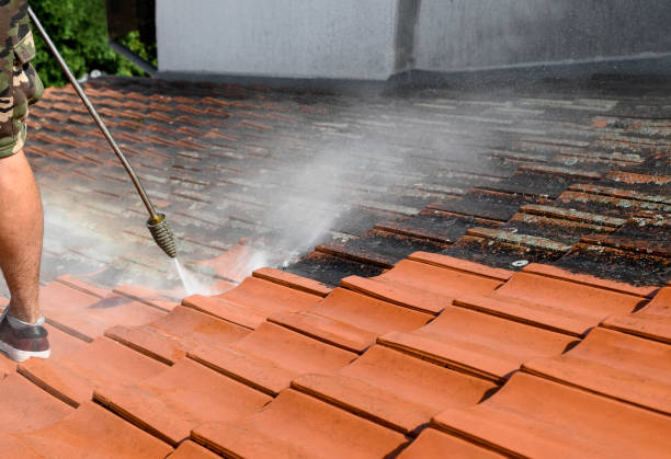 Best Pressure Washing Near Me  in Oliver, PA